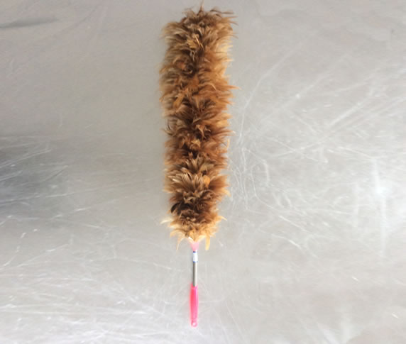 Feather duster A7252
