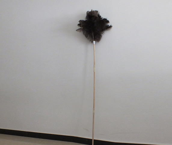 Ostrich feather duster LY01