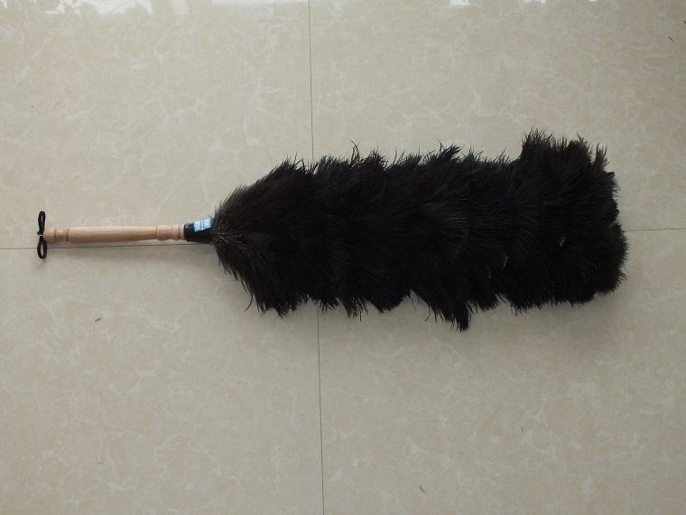 Long lasting ostrich Feather duster